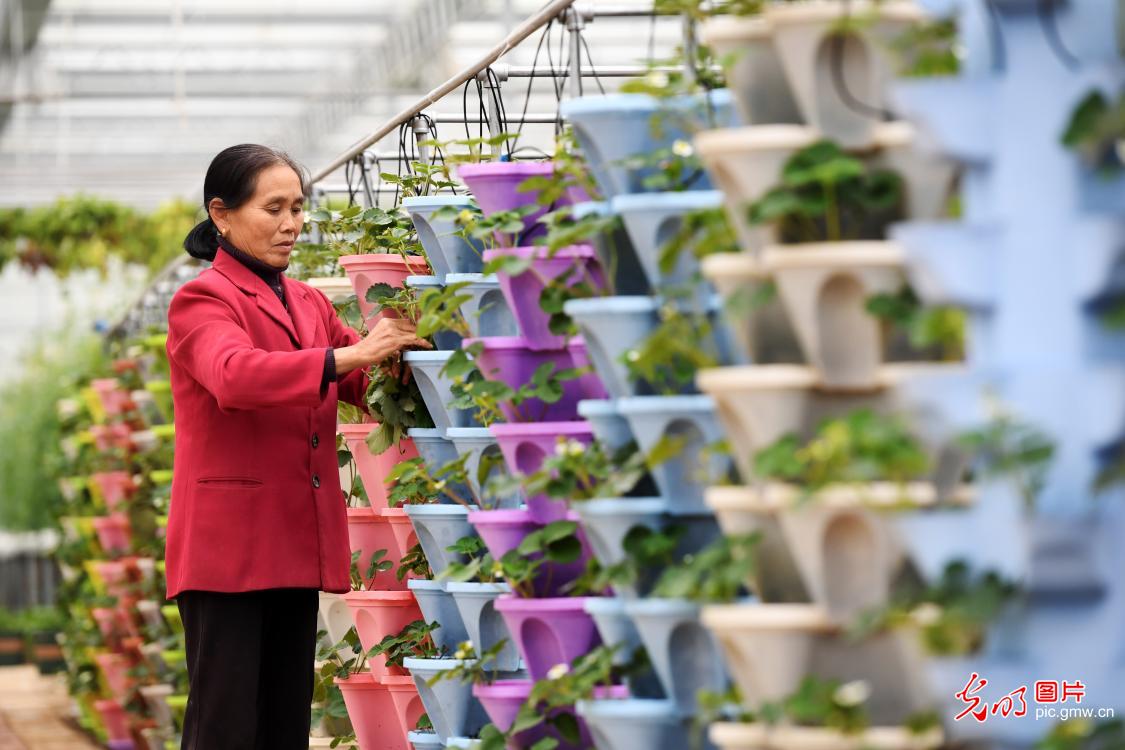 Modern agriculture demonstration park in E China's Jiangxi